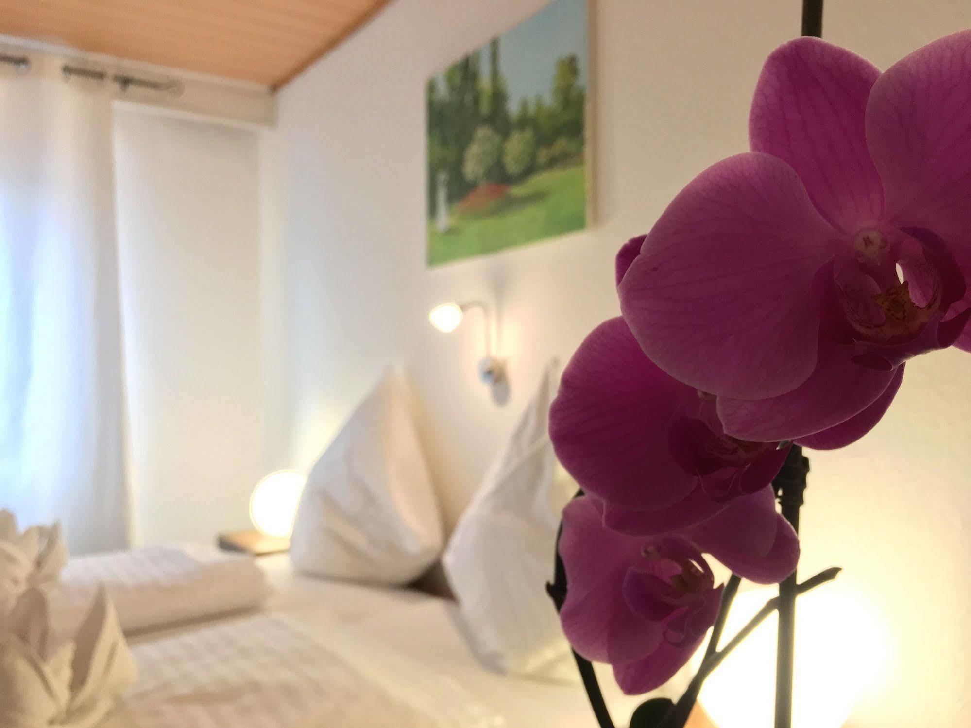 City Hotel Diez Bagian luar foto